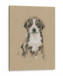 Bocetos De Raza Ii - Ethan Harper | Cuadro decorativo de Canvas Lab