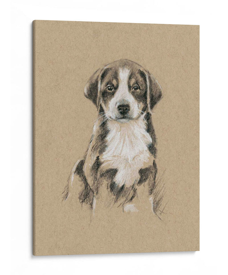 Bocetos De Raza Ii - Ethan Harper | Cuadro decorativo de Canvas Lab