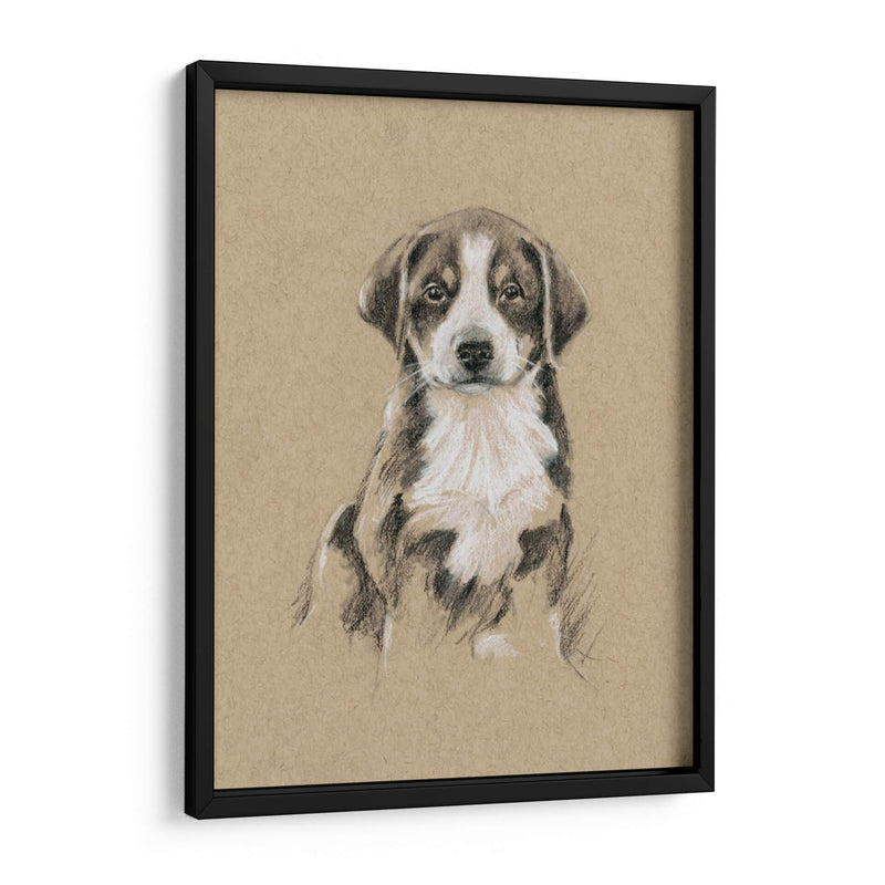 Bocetos De Raza Ii - Ethan Harper | Cuadro decorativo de Canvas Lab
