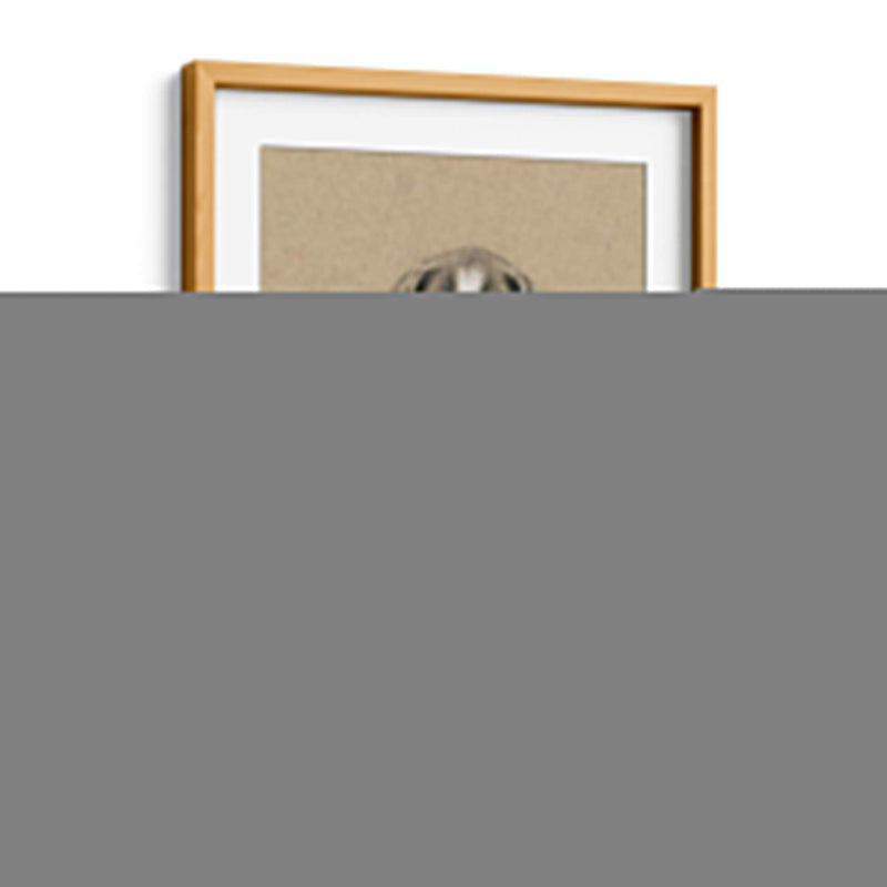 Bocetos De Raza Ii - Ethan Harper | Cuadro decorativo de Canvas Lab