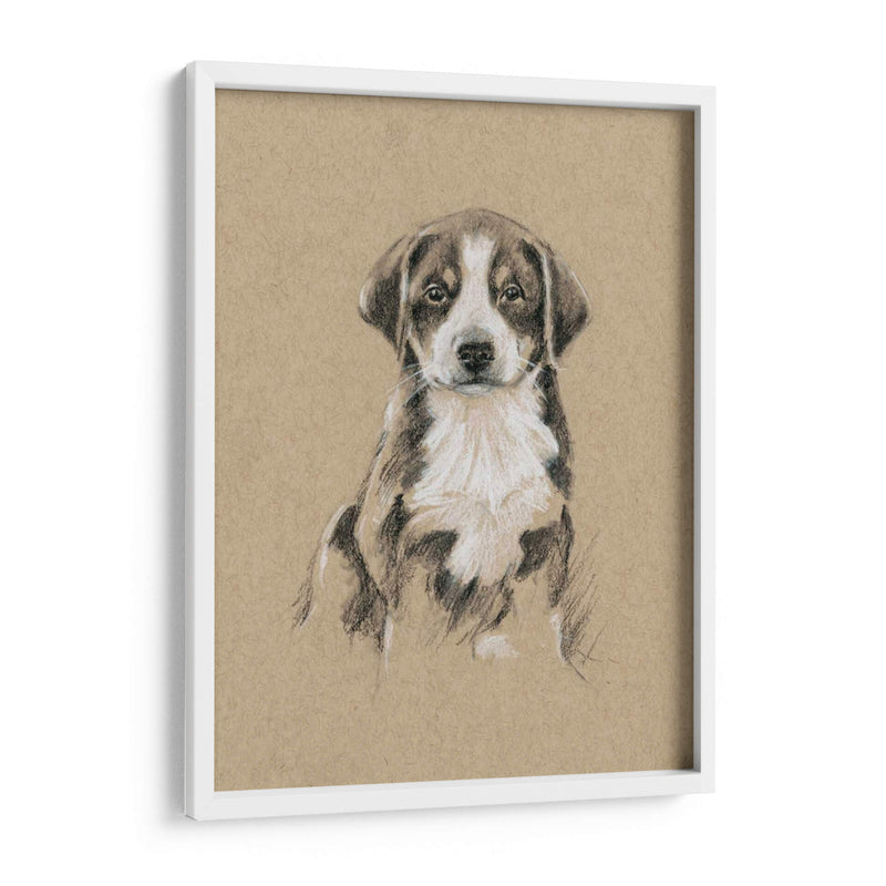 Bocetos De Raza Ii - Ethan Harper | Cuadro decorativo de Canvas Lab