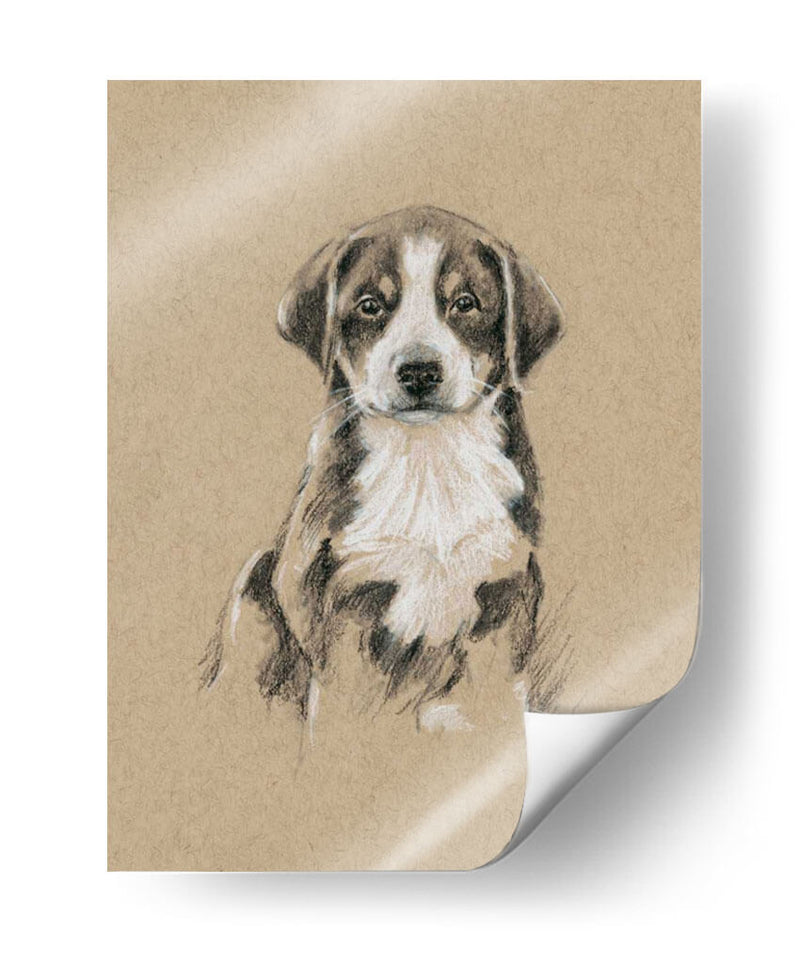 Bocetos De Raza Ii - Ethan Harper | Cuadro decorativo de Canvas Lab