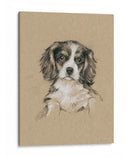 Bocetos De Raza Iii - Ethan Harper | Cuadro decorativo de Canvas Lab