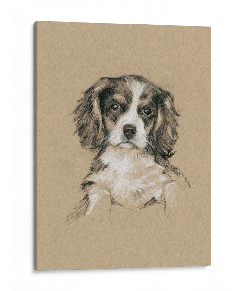 Bocetos De Raza Iii - Ethan Harper | Cuadro decorativo de Canvas Lab