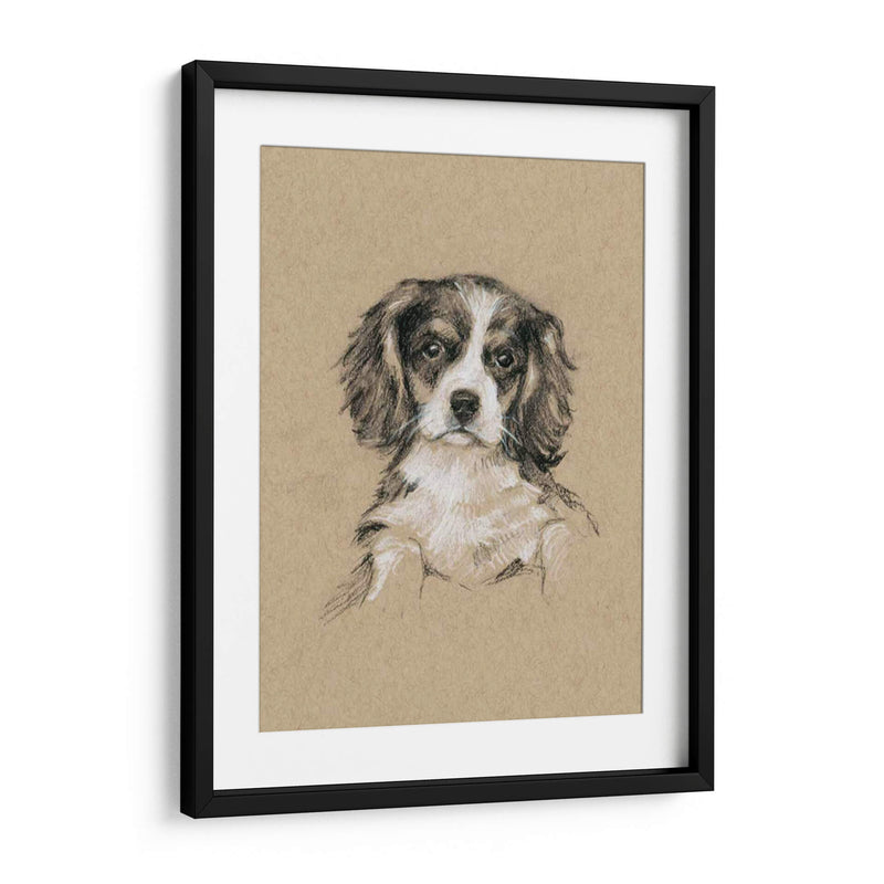 Bocetos De Raza Iii - Ethan Harper | Cuadro decorativo de Canvas Lab