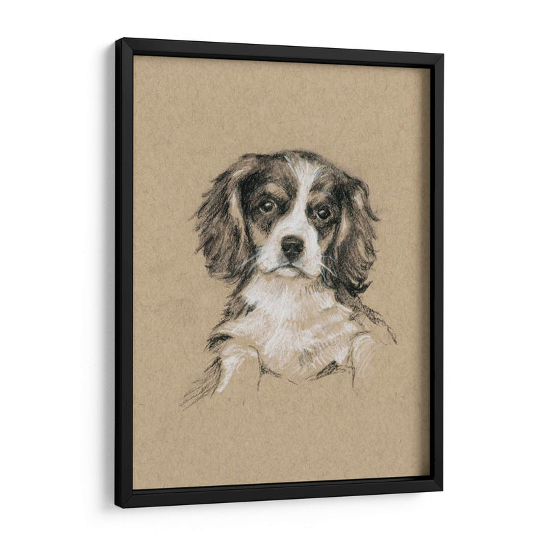 Bocetos De Raza Iii - Ethan Harper | Cuadro decorativo de Canvas Lab