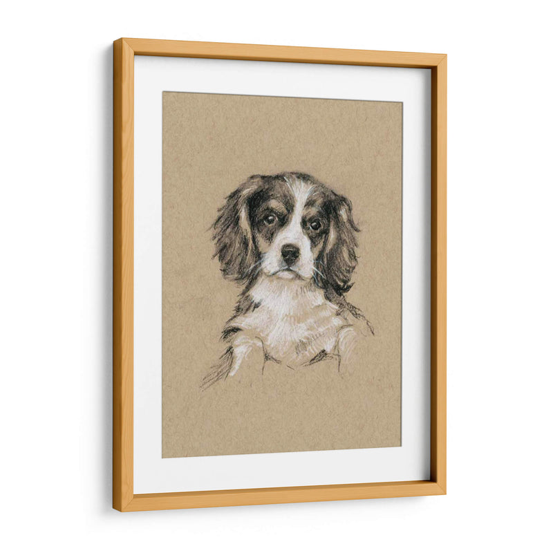 Bocetos De Raza Iii - Ethan Harper | Cuadro decorativo de Canvas Lab