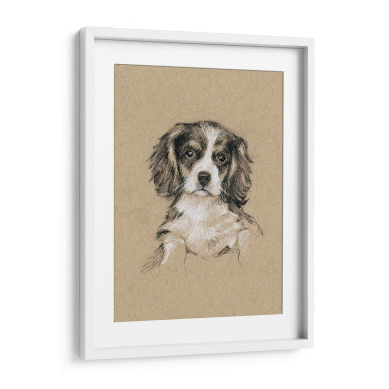 Bocetos De Raza Iii - Ethan Harper | Cuadro decorativo de Canvas Lab