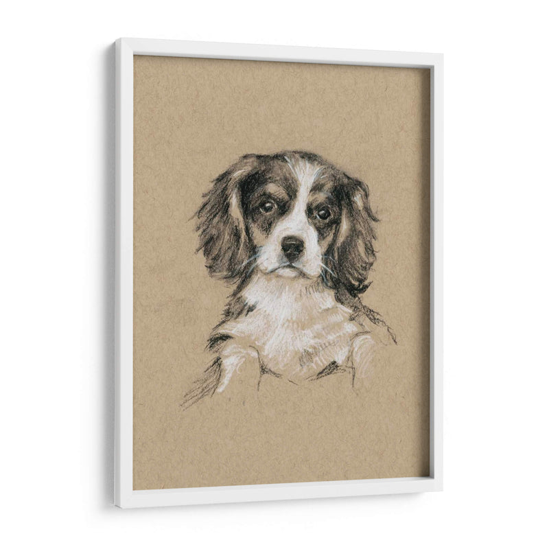 Bocetos De Raza Iii - Ethan Harper | Cuadro decorativo de Canvas Lab