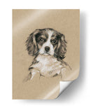 Bocetos De Raza Iii - Ethan Harper | Cuadro decorativo de Canvas Lab