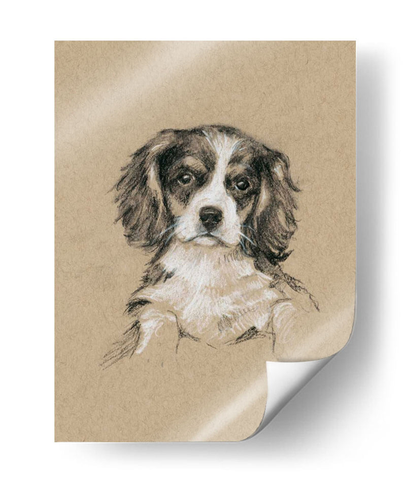 Bocetos De Raza Iii - Ethan Harper | Cuadro decorativo de Canvas Lab