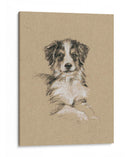 Bocetos De Raza Iv - Ethan Harper | Cuadro decorativo de Canvas Lab