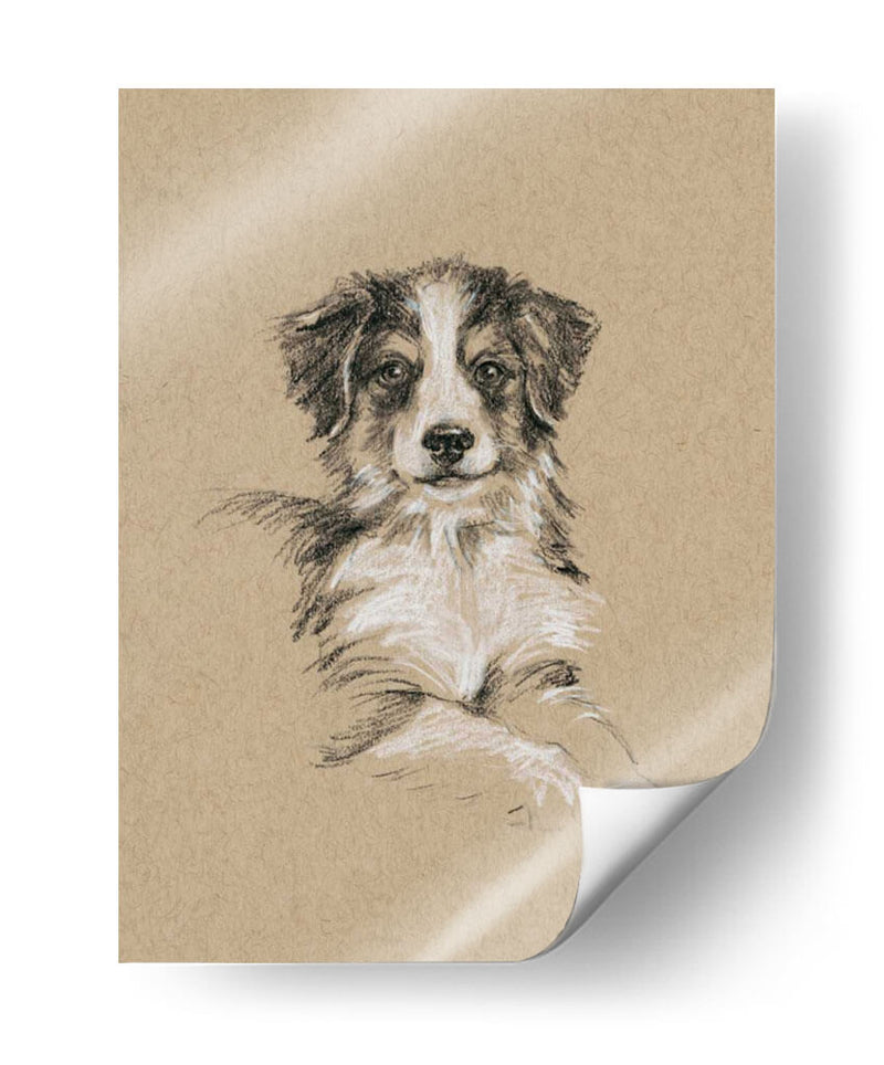 Bocetos De Raza Iv - Ethan Harper | Cuadro decorativo de Canvas Lab