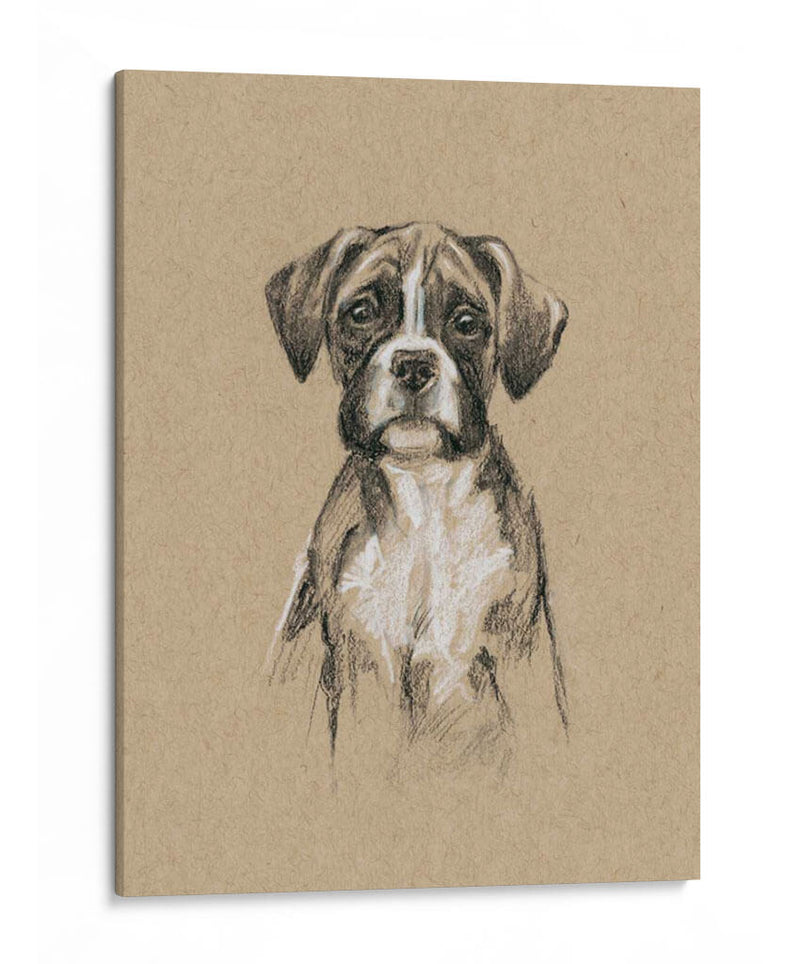 Bocetos De Raza V - Ethan Harper | Cuadro decorativo de Canvas Lab