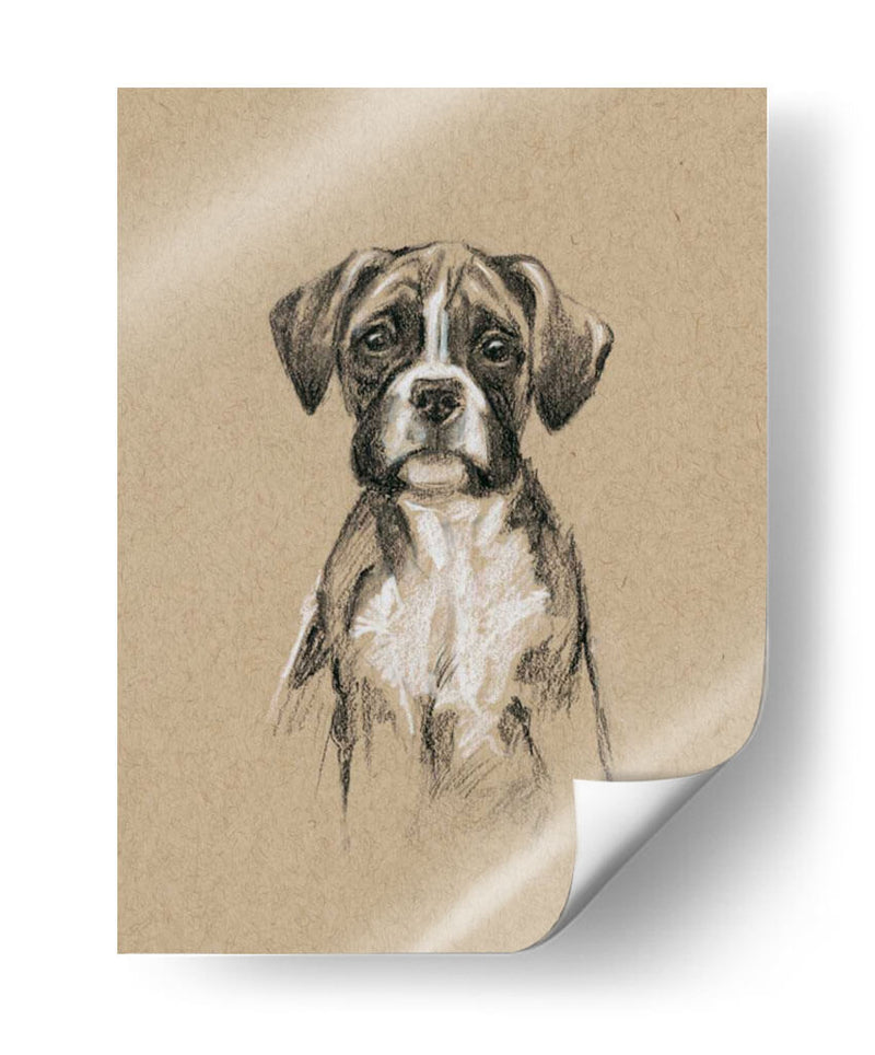 Bocetos De Raza V - Ethan Harper | Cuadro decorativo de Canvas Lab