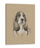 Bocetos De Raza Vi - Ethan Harper | Cuadro decorativo de Canvas Lab