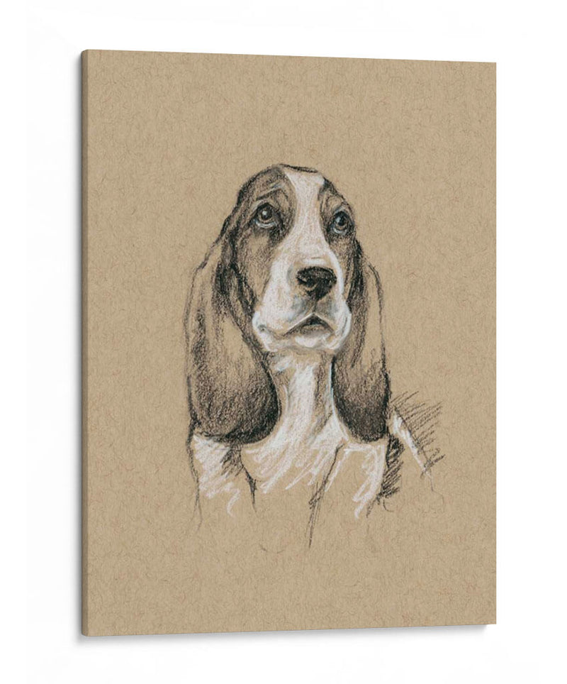 Bocetos De Raza Vi - Ethan Harper | Cuadro decorativo de Canvas Lab