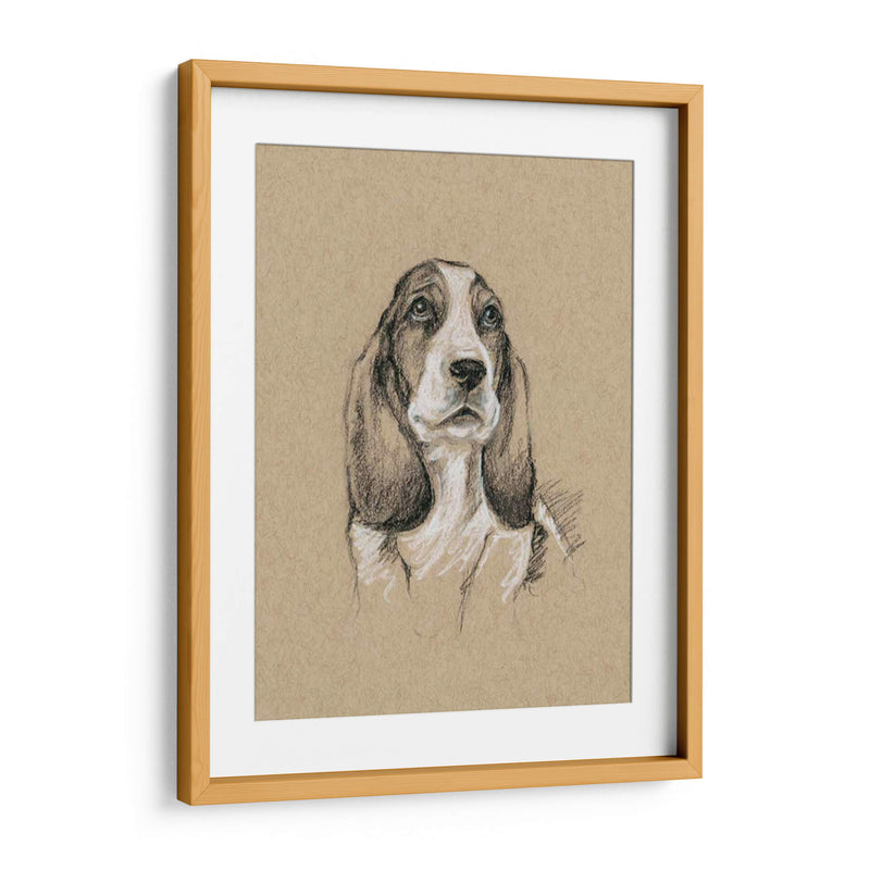 Bocetos De Raza Vi - Ethan Harper | Cuadro decorativo de Canvas Lab