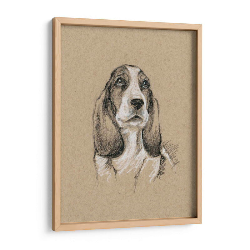 Bocetos De Raza Vi - Ethan Harper | Cuadro decorativo de Canvas Lab