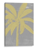 Palms Cromatici Iii - Jennifer Goldberger | Cuadro decorativo de Canvas Lab