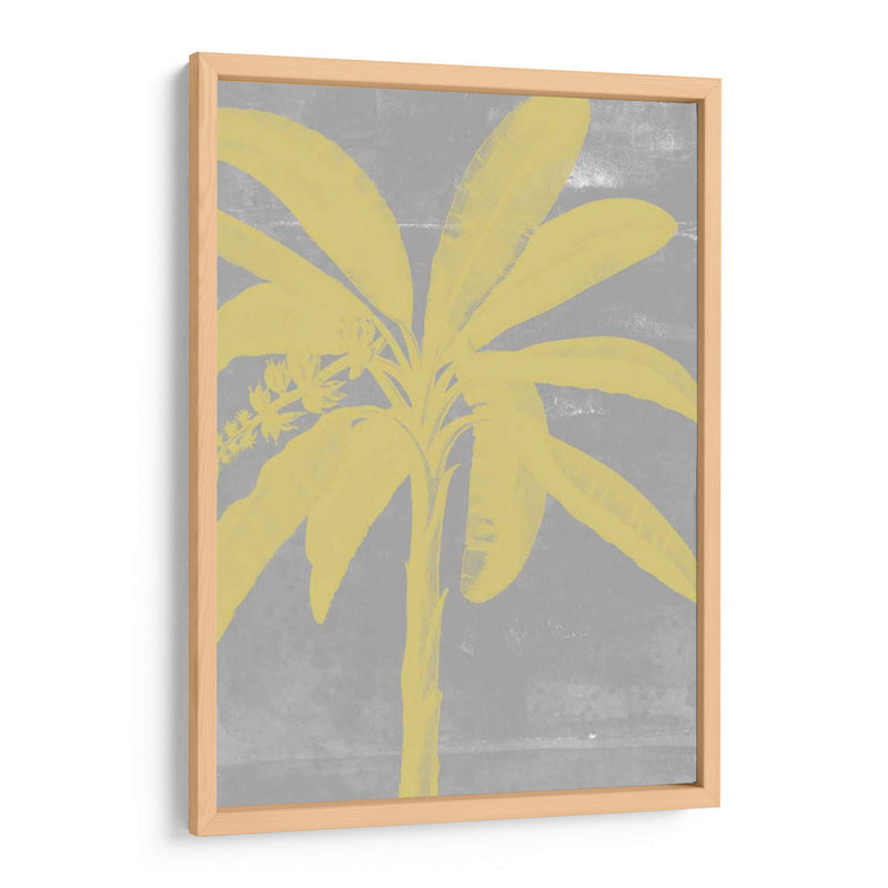 Palms Cromatici Iii - Jennifer Goldberger | Cuadro decorativo de Canvas Lab