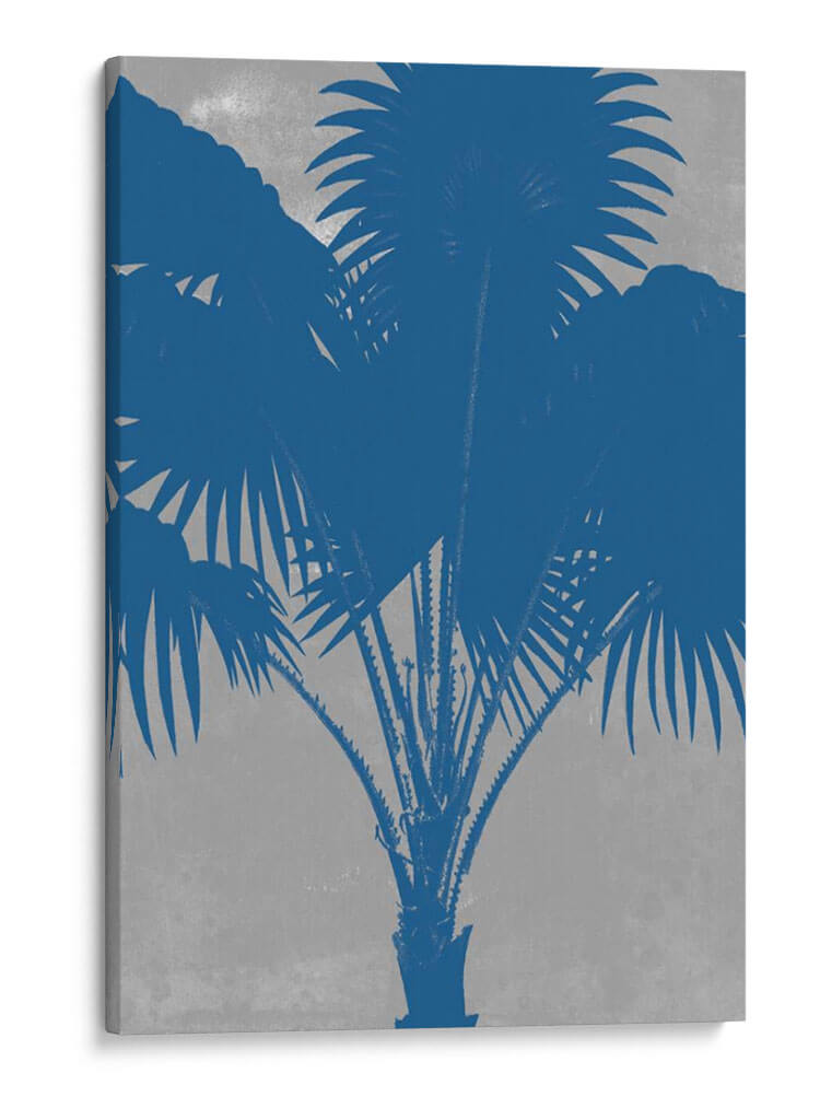 Palmas Cromáticas Vi - Jennifer Goldberger | Cuadro decorativo de Canvas Lab