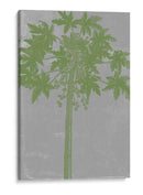 Palms Cromatic Ix - Jennifer Goldberger | Cuadro decorativo de Canvas Lab