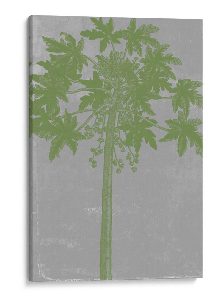 Palms Cromatic Ix - Jennifer Goldberger | Cuadro decorativo de Canvas Lab