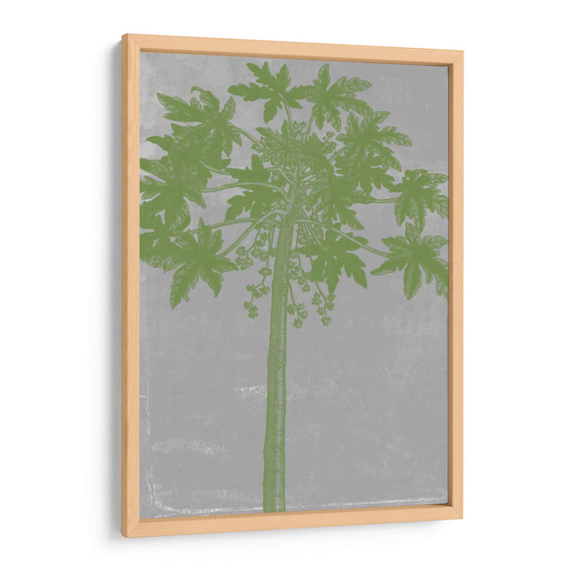 Palms Cromatic Ix - Jennifer Goldberger | Cuadro decorativo de Canvas Lab