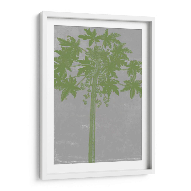 Palms Cromatic Ix - Jennifer Goldberger | Cuadro decorativo de Canvas Lab