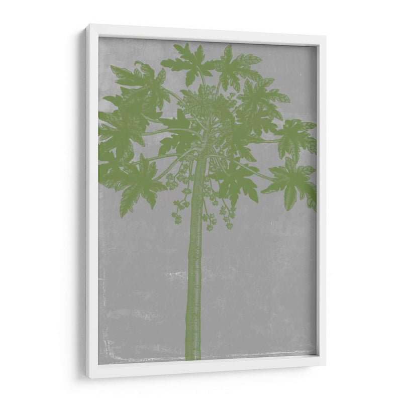 Palms Cromatic Ix - Jennifer Goldberger | Cuadro decorativo de Canvas Lab