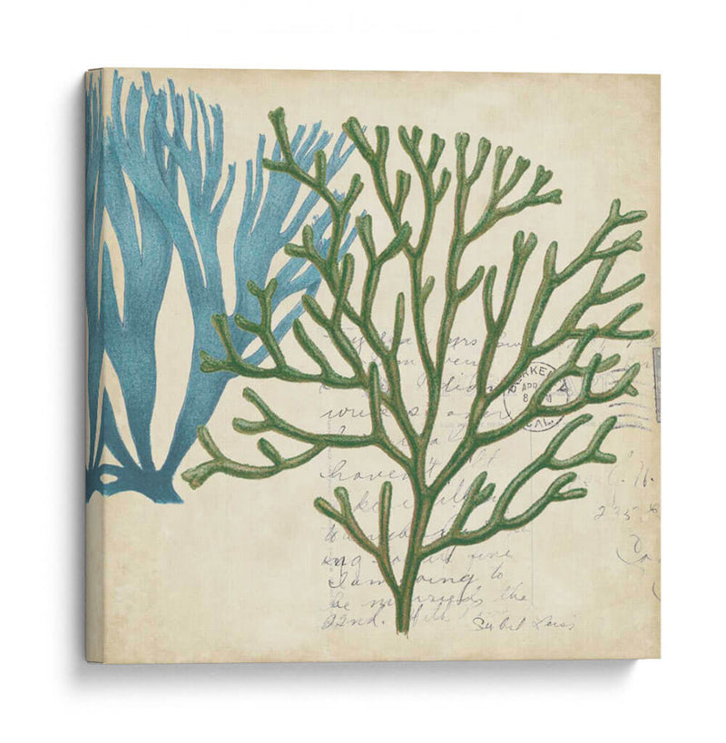 Superposición De Algas - Studio W | Cuadro decorativo de Canvas Lab