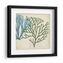 Superposición De Algas - Studio W | Cuadro decorativo de Canvas Lab