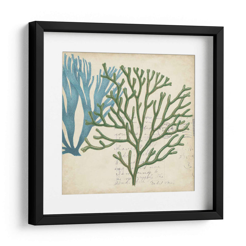 Superposición De Algas - Studio W | Cuadro decorativo de Canvas Lab