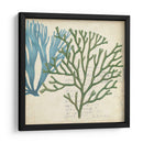 Superposición De Algas - Studio W | Cuadro decorativo de Canvas Lab