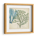 Superposición De Algas - Studio W | Cuadro decorativo de Canvas Lab