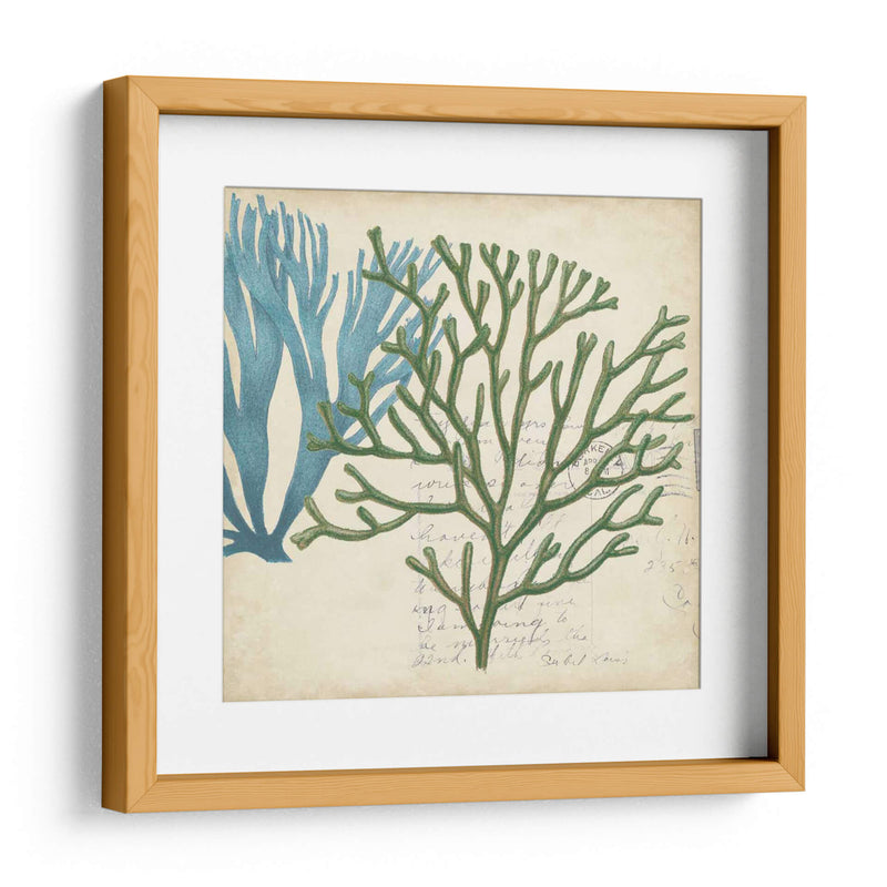 Superposición De Algas - Studio W | Cuadro decorativo de Canvas Lab