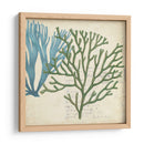 Superposición De Algas - Studio W | Cuadro decorativo de Canvas Lab