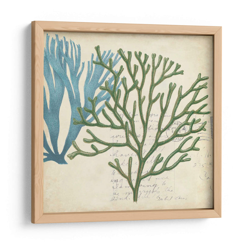 Superposición De Algas - Studio W | Cuadro decorativo de Canvas Lab