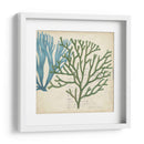 Superposición De Algas - Studio W | Cuadro decorativo de Canvas Lab