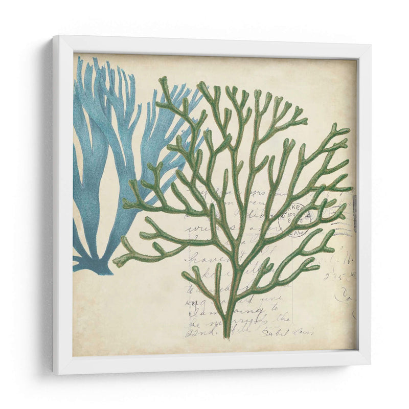 Superposición De Algas - Studio W | Cuadro decorativo de Canvas Lab