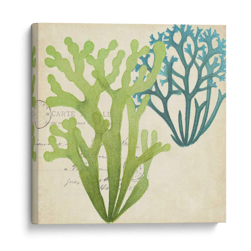 Superposición De Algas De Algas Ii - Studio W | Cuadro decorativo de Canvas Lab