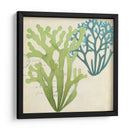 Superposición De Algas De Algas Ii - Studio W | Cuadro decorativo de Canvas Lab