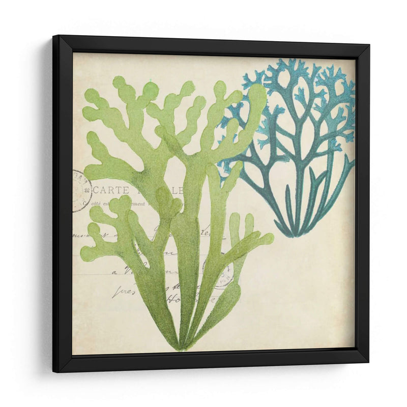 Superposición De Algas De Algas Ii - Studio W | Cuadro decorativo de Canvas Lab