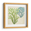 Superposición De Algas De Algas Ii - Studio W | Cuadro decorativo de Canvas Lab