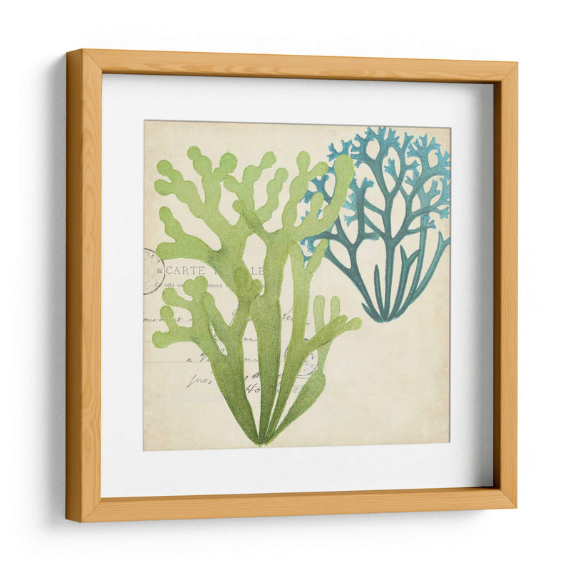 Superposición De Algas De Algas Ii - Studio W | Cuadro decorativo de Canvas Lab