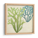 Superposición De Algas De Algas Ii - Studio W | Cuadro decorativo de Canvas Lab