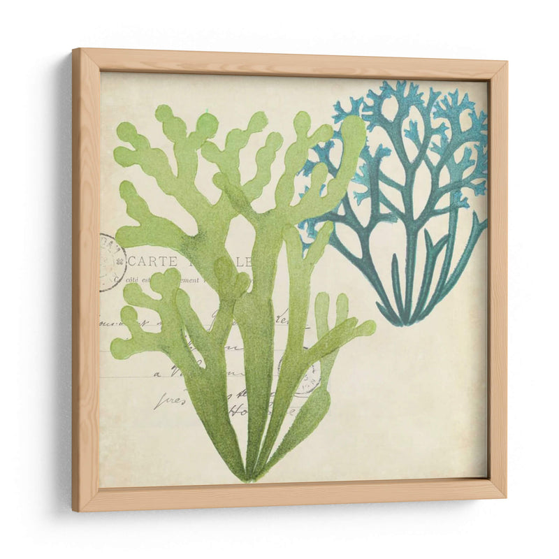 Superposición De Algas De Algas Ii - Studio W | Cuadro decorativo de Canvas Lab