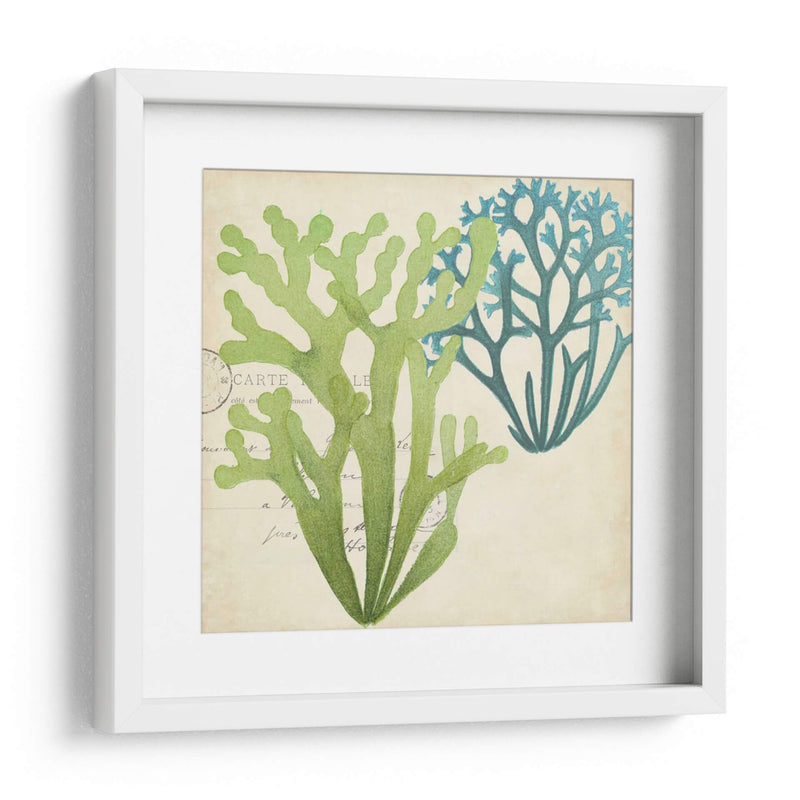 Superposición De Algas De Algas Ii - Studio W | Cuadro decorativo de Canvas Lab