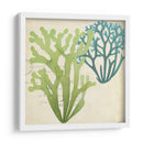 Superposición De Algas De Algas Ii - Studio W | Cuadro decorativo de Canvas Lab